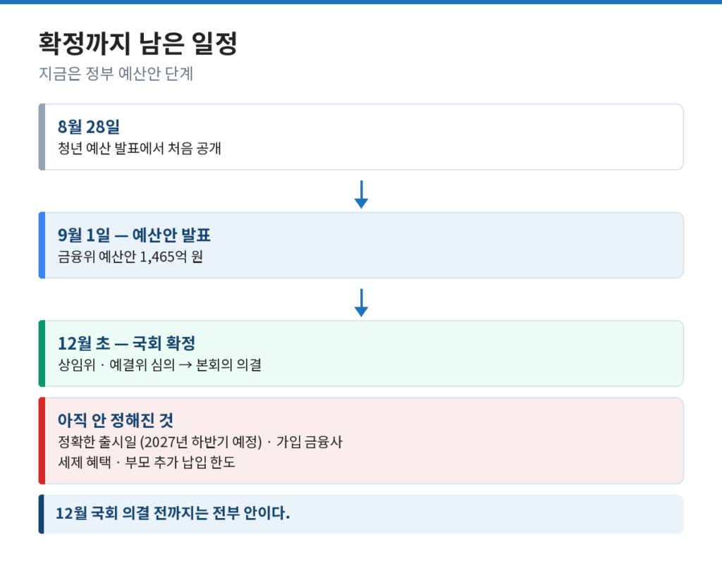 우리아이자립펀드 발표부터 국회 확정까지 일정과 미정 항목을 정리한 도식