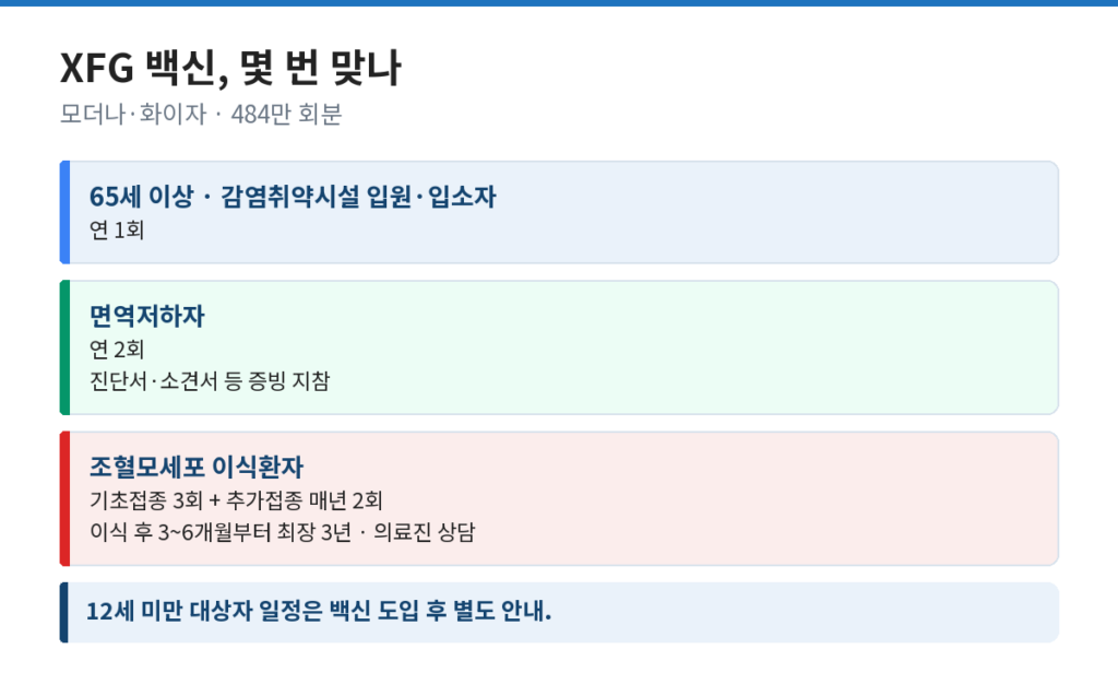 코로나 예방접종 2026 XFG 백신 대상별 접종 횟수와 조혈모세포 이식환자 일정을 정리한 도식